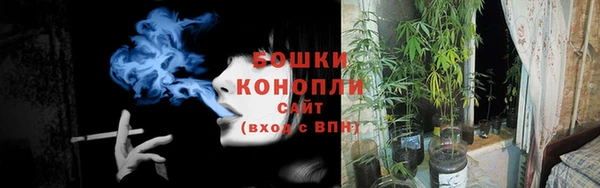 прущий лед Вяземский