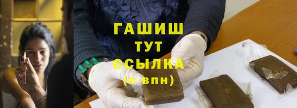 прущий лед Вяземский
