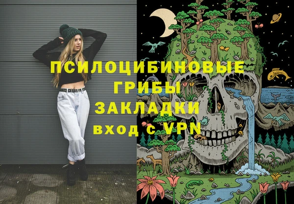 СК Вязьма