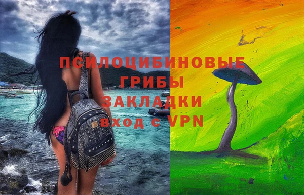СК Вязьма