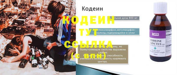 прущий лед Вяземский