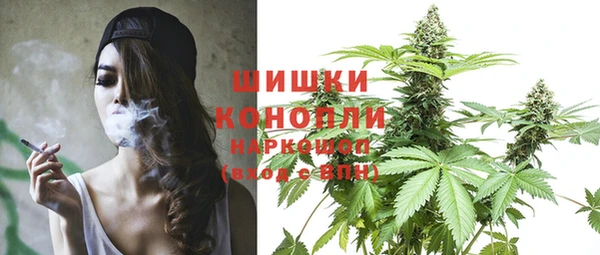 прущий лед Вяземский
