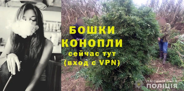 прущий лед Вяземский