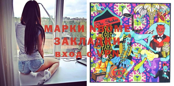 прущий лед Вяземский
