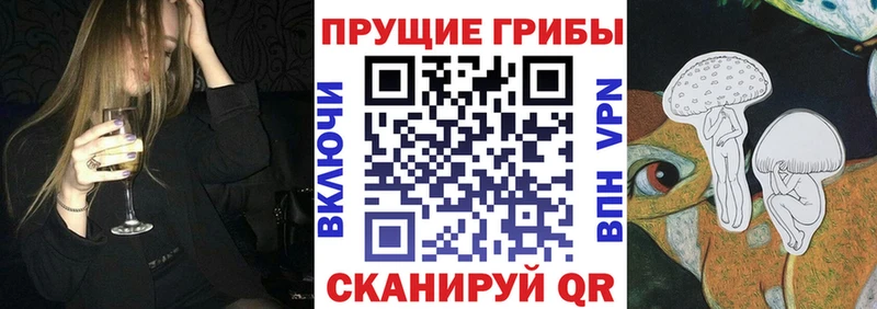 Псилоцибиновые грибы GOLDEN TEACHER  Купить закладки  Златоуст 